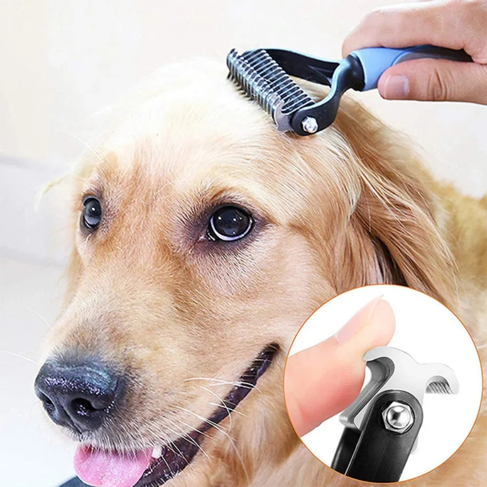 Dog Clieaning