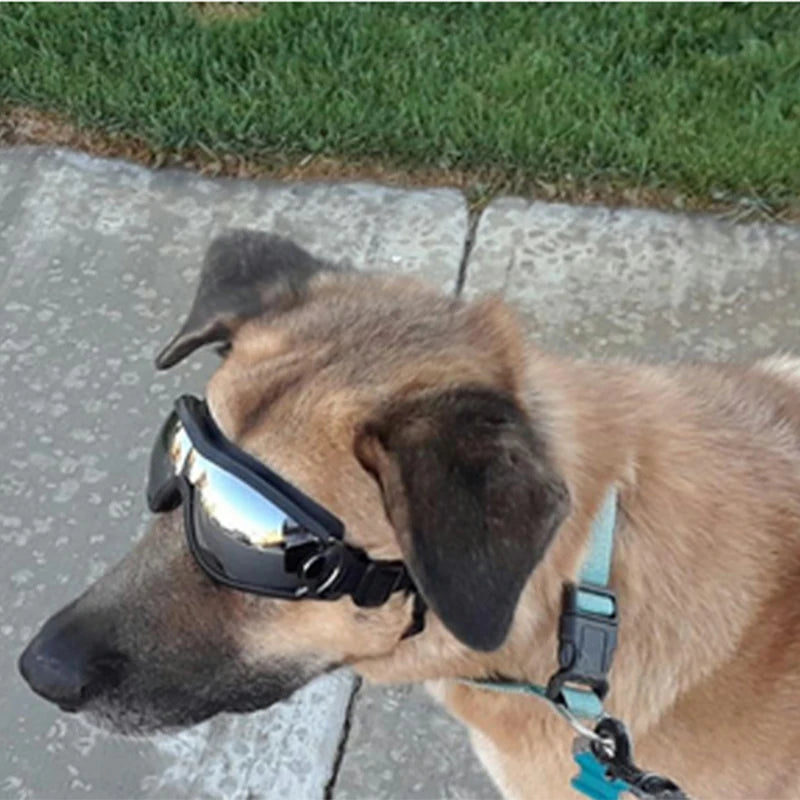 Outdoor Dog Sunglasses UV Protection Windproof Goggles Pet Eye Wear Dog Swimming Skating Glasses Dog Grooming Glasses